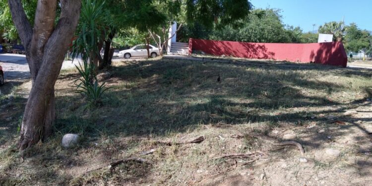 Prosiguen trabajos de restauración y limpieza en espacios públicos deportivos del municipio