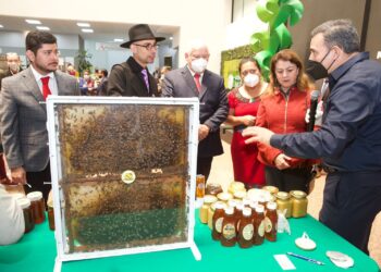 Prevén producción de 65 mil 600 toneladas de miel para exportar a 33 países