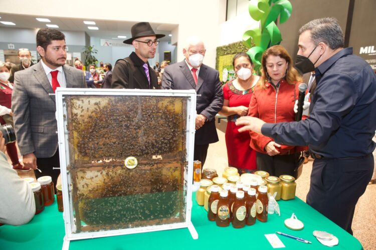 Prevén producción de 65 mil 600 toneladas de miel para exportar a 33 países