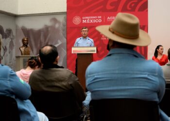 Piden crear conciencia sobre la importancia de las abejas para la alimentación y los ecosistemas