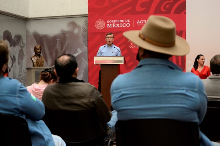 Piden crear conciencia sobre la importancia de las abejas para la alimentación y los ecosistemas