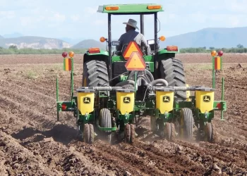 Cierra ciclo Primavera Verano con apenas 17% de superficie programada