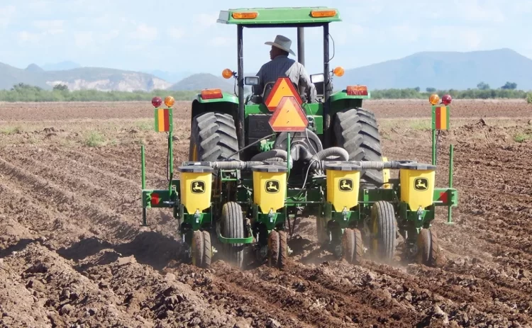 Cierra ciclo Primavera Verano con apenas 17% de superficie programada