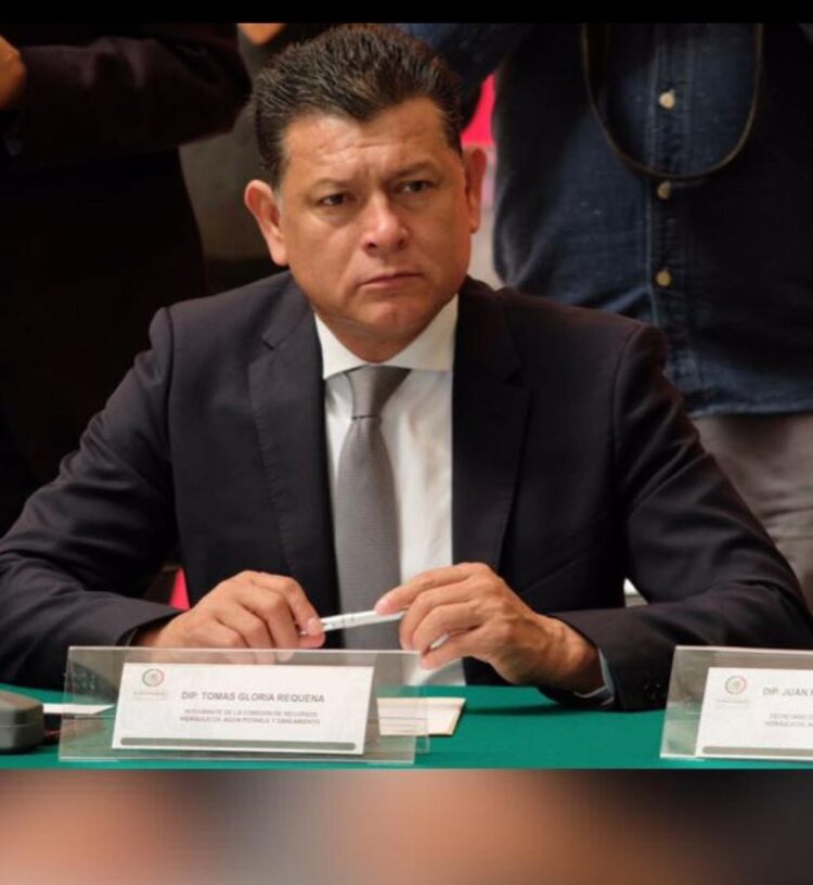 Piden transparencia en recursos de apoyo a ganadería en Tamaulipas