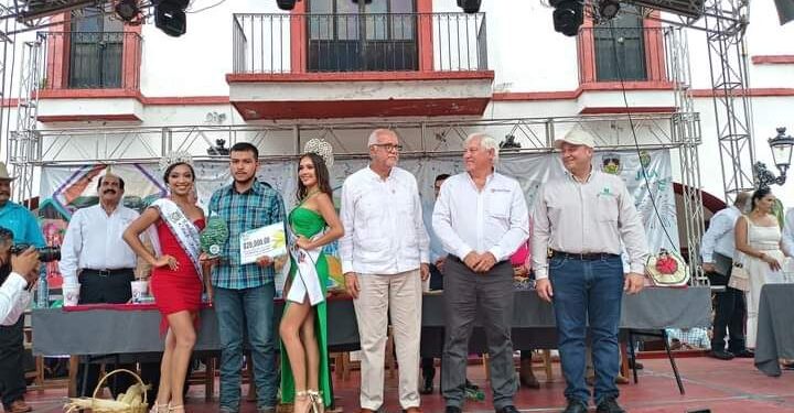 Cosechan en Jala, Nayarit elotes de 43 centímetros en 39 concurso estatal