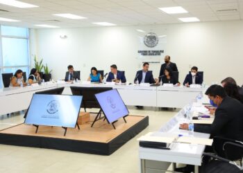 Proponen incorporar figura de tutor voluntario en beneficio de las personas adultas mayores