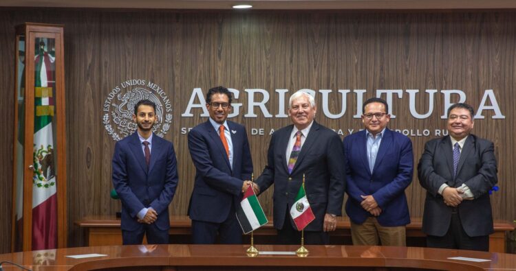 México será sede del Primer Festival Internacional del Dátil, a celebrarse en Sonora