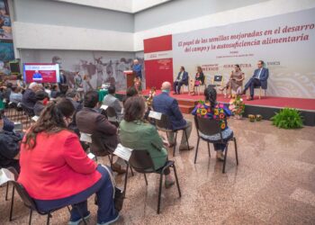 Semillas de calidad a aumentan rendimiento agrícola y preservar agrobiodiversidad de México