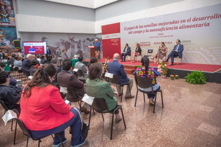 Semillas de calidad a aumentan rendimiento agrícola y preservar agrobiodiversidad de México