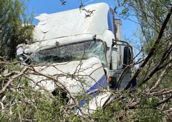 Tras falla de frenos, chofer salta de tráiler, no sobrevive