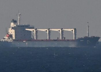 Primer cargamento de cereales ucranianos llega a Turquía