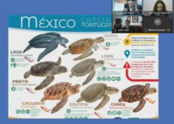 Pesca, sector prioritario de economía mexicana, coinciden especialistas en el Senado