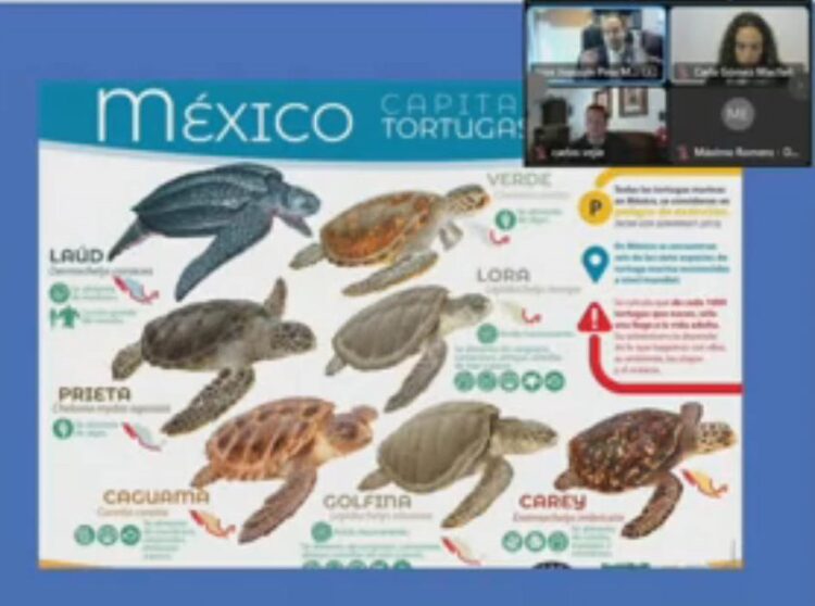 Pesca, sector prioritario de economía mexicana, coinciden especialistas en el Senado