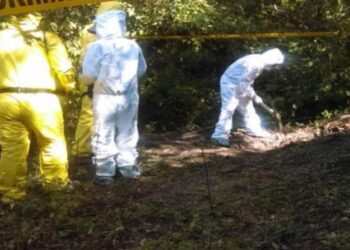 Hallan 11 cuerpos en narcofosas de Uruapan, Michoacán
