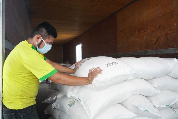 Apoya Segalmex a comunidades con maíz blanco  a $6.50 kilo en tiendas Diconsa