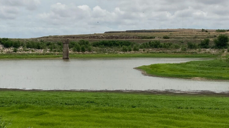 Por sequía emiten declaración de desastre 2 condados en Sur de Texas