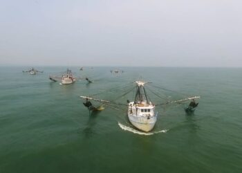 Abarcan cartas nacionales pesquera y acuícola 90 % de la producción pesquera de México