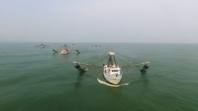 Abarcan cartas nacionales pesquera y acuícola 90 % de la producción pesquera de México