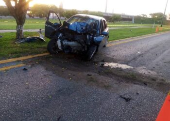 Muere chofer al estrellar auto con árbol