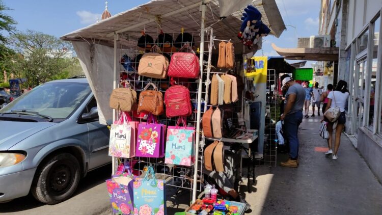 Demanda regidora “meter en cintura” a los ambulantes