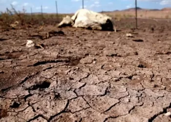 Sequía en México merma a comerciantes en temporada vacacional