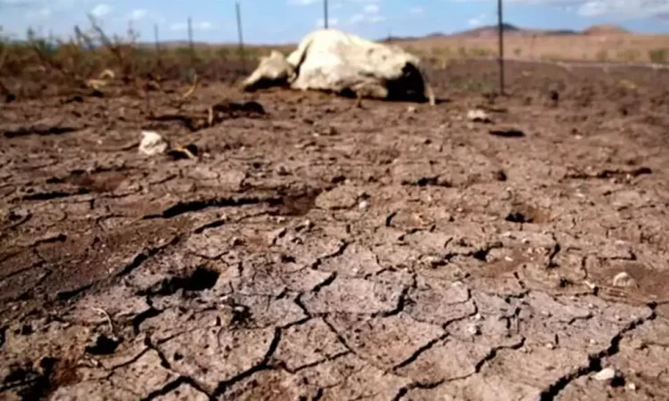 Sequía en México merma a comerciantes en temporada vacacional