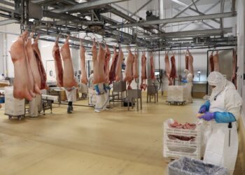 Destaca México como exportador de productos cárnicos