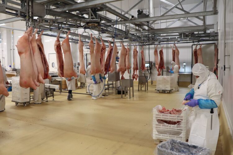 Destaca México como exportador de productos cárnicos