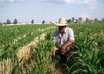 Comienza INEGI levantamiento del censo agropecuario 2022