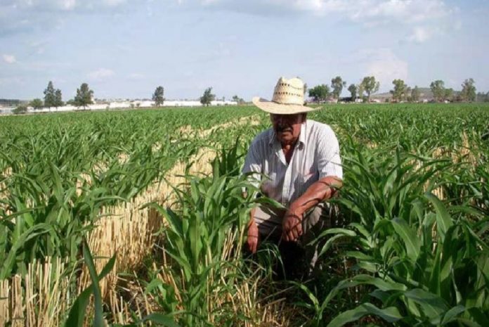 Comienza INEGI levantamiento del censo agropecuario 2022