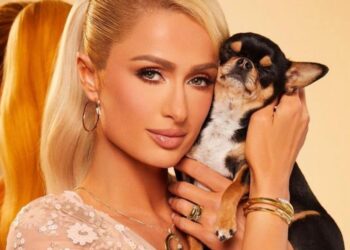 Paris Hilton perdió a su perro chihuahua y ofrece recompensa
