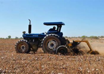 Amplían fecha para el desvare u barbecho del algodón