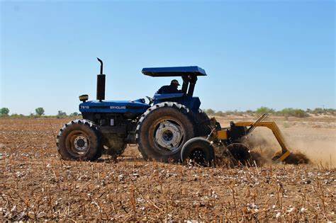 Amplían fecha para el desvare u barbecho del algodón