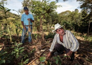 Prepara Agricultura estrategia de reducción y manejo del fuego en el sector agropecuario