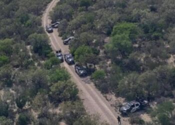 Aseguran narcocampamento en Nuevo León y abaten a dos sicarios