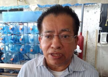 Iniciativa de permanencia del Ejército al 2028 es aventurada; debieron esperar 2 años