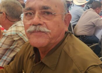 Apicultores invasores ponen en riesgo producción de miel en Tamaulipas