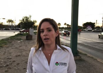 Exige diputada trabajo a sus compañeros legisladores