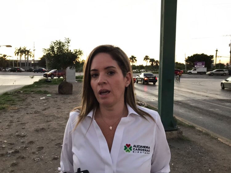 Exige diputada trabajo a sus compañeros legisladores