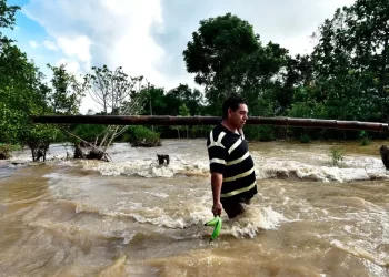 Reportan daños en sureste y Pacífico por lluvias