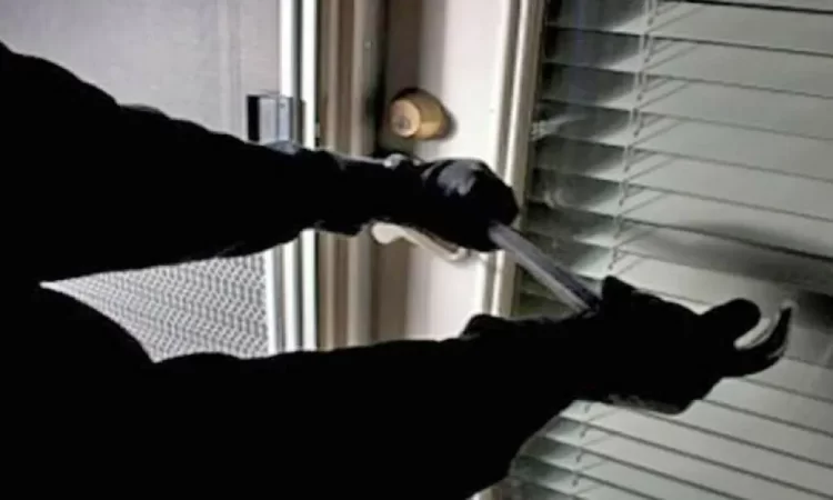 Sube tasa de víctimas de delitos