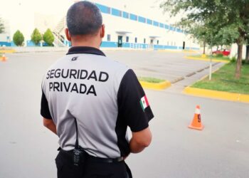 La seguridad: cuestión privada y también pública
