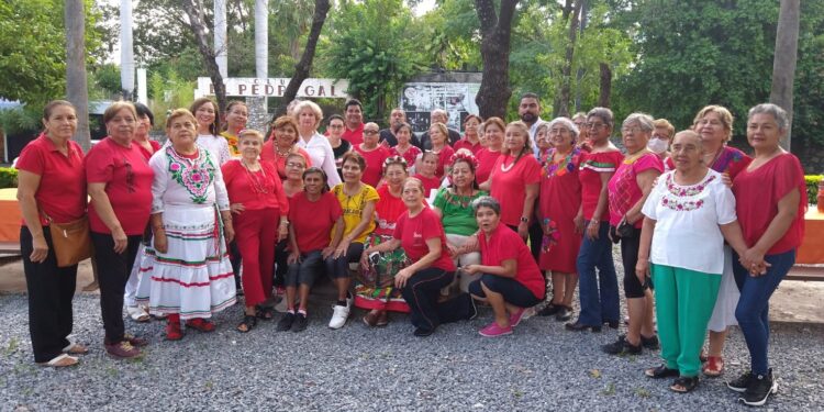 Celebran adultos mayores con activación física