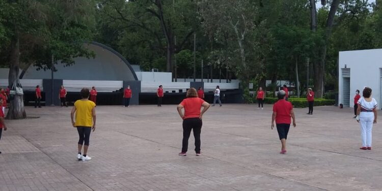 Celebran adultos mayores con activación física