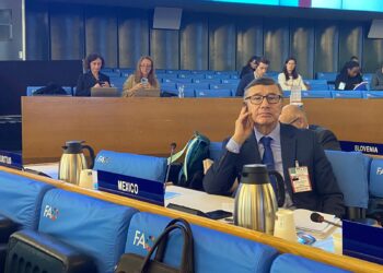 Avanza México en contener inflación en alimentos y evitar desabasto: Suárez 