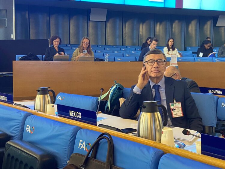 Avanza México en contener inflación en alimentos y evitar desabasto: Suárez