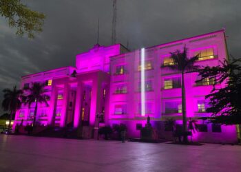 Iluminan Palacio de Gobierno de Tamaulipas de rosa en campaña contra cáncer de mama