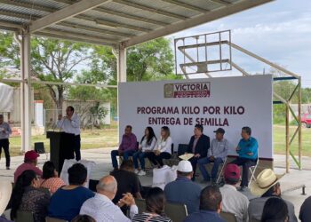 Entrega Gobierno de Victoria 2 toneladas de semilla a productores.