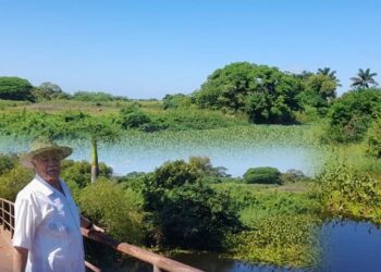 Lirio acuático afecta  al sistema lagunario del sur de Tamaulipas