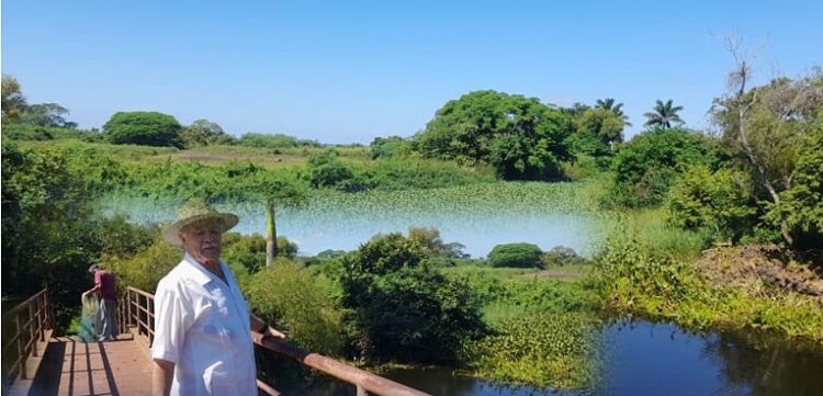 Lirio acuático afecta  al sistema lagunario del sur de Tamaulipas